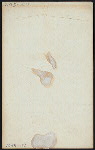 LUNCH?] [held by] HAMBURG-AMERIKANISCHE [SHIP COMPANY?] [at] AT SEA (SS;)