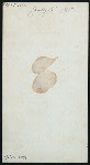 LUNCHEON MENU [held by] HOTEL PONCE DE LEON [at] "ST. AUGUSTINE, FL" (HOT;)