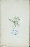 DINNER TO THE MEMBERS OF THE REPUBLICAN EDITORIAL ASSOCIATION OF THE STATE OF NEW YORK [held by] A COMMITTEE OF THE CITIZENS OF NEW YORK [at] "DELMONICO'S, NEW YORK, NY" (HOT;)