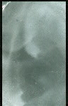 TESTIMONIAL & RECEPTION IN HONOR OF 25TH ANNIVERSARY OF GEORGE F. LYON IN JOURNALISM [held by] NEW YORK PRESS CLUB [at] NEW YORK PESS CLUB (OTHER (CLUB);)