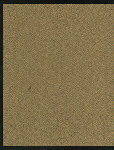 SUNDAY DINNER [held by] NEW STATE HOUSE [at] "WACO,TX" (HOTEL;)
