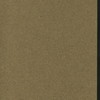 SUNDAY DINNER [held by] NEW STATE HOUSE [at] "WACO,TX" (HOTEL;)