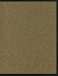 SUNDAY DINNER [held by] NEW STATE HOUSE [at] "WACO,TX" (HOTEL;)