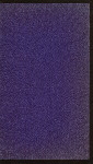 BANQUET COMPLIMENTARY TO GRAND ENCAMPMENT OF VISITING PATRIOTS [held by] FLORIDA ENCAMPMENT NO. 1 [at] "JACKSONVILLE, FL"