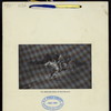 ANNUAL BANQUET [held by] MISSOURI SOCIETY SONS OF THE AMERICAL REVOLUTION [at] "MERCANTILE CLUB,ST.LOUIS,MO" ("OTHER,(CLUB);")
