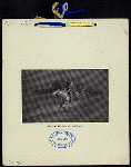 ANNUAL BANQUET [held by] MISSOURI SOCIETY SONS OF THE AMERICAL REVOLUTION [at] "MERCANTILE CLUB,ST.LOUIS,MO" ("OTHER,(CLUB);")
