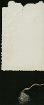2ND ANNUAL BALL [held by] L.TIRELLI'S ASSOCIATION [at] "COLUMBUS HOTEL, NY" (HOTEL)