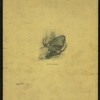 DINNER [held by] THE CAMP-FIRE CLUB [at] "ARKWRIGHT CLUB. 320 BROADWAY, [NEW YORK]" (OTHER (PRIVATE CLUB?);)