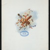 DINNER [held by] HOTEL KNICKERBOCKER [at] "NEW YORK, NY" (HOTEL;)