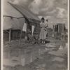 Migrants' camp, California. 1935