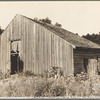 Fuquay Springs, North Carolina. Sept. 17, 1935. Barn on farm of Dalton McLeod
