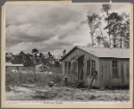 Temporary shacks for settlers dwelling near houses on Wolf Creek Farms, Georgia