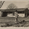El Monte Federal Subsistence Homesteads. 100 homes, all occupied. Each with nearly an acre of ground. Average family income $800 year. Calif. 1936