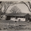 El Monte Federal Subsistence Homesteads. 100 homes, all occupied. Each with nearly an acre of ground. Average family income $800 year. Calif. 1936