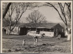 El Monte Federal Subsistence Homesteads. 100 homes, all occupied. Each with nearly an acre of ground. Average family income $800 year. Calif. 1936