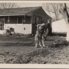 El Monte Federal Subsistence Homesteads. 100 homes, all occupied. Each with nearly an acre of ground. Average family income $800 year. Calif. 1936