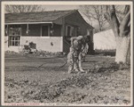 El Monte Federal Subsistence Homesteads. 100 homes, all occupied. Each with nearly an acre of ground. Average family income $800 year. Calif. 1936