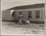 San Fernando Federal Subsistence Homesteads. Forty homes, all occupied. Each with nearly an acre of grounds. Average income $800 year. Calif 1936