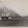 El Monte Federal Subsistence Homesteads. Calif. 1936