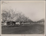 El Monte Federal Subsistence Homesteads. Calif. 1936