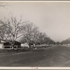 El Monte Federal Subsistence Homesteads. El Monte, California, 1936