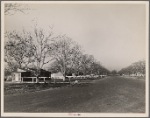 El Monte Federal Subsistence Homesteads. El Monte, California, 1936