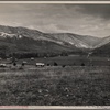 View of Ida Valley homesteads, Ida Valley, Virginia.