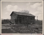 Migrant's shack. California