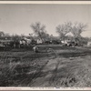 Migrant's camp. California