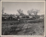 Migrant's camp. California