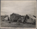 Migrants' camp. California