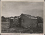 Home of a migrant family. Calif.