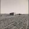 Bosque Farms Project. Resettled families temporary home. Each settler is alotted a plot of 40 acres