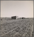 Bosque Farms Project. Resettled families temporary home. Each settler is alotted a plot of 40 acres