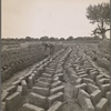 Bosque Farms project. Making adobe brick. These bricks made on the project for use in construction of school and permanent homes