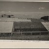 View of one of the greenhouses at the experimental farm of the Department of Agriculture at Beltsville, Maryland.