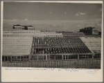 View of one of the greenhouses at the experimental farm of the Department of Agriculture at Beltsville, Maryland.