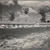 Laying house at the section of poultry at the experimental farm of the U.S.D.A. Prince Georges County. Beltsville, Maryland.