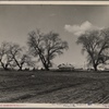 U.S. resettlement camp. California, Marysville