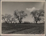 U.S. resettlement camp. California, Marysville