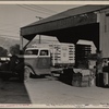 Self Help Association, dairy farm, California