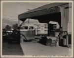 Self Help Association, dairy farm, California