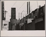 Backyards, Baltimore, Maryland.