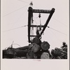 Loading logs. McMinnville, Oregon