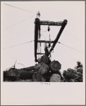 Loading logs. McMinnville, Oregon