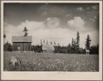 Abandoned submarginal farm. Newport, Washington