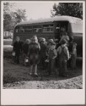 The  children from Dead Ox Flat get off the bus at the school yard. Ontario, Malheur County, Oregon. General caption number 67-1V