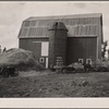 Barn and silo on farm. Farm tenancy project, Tompkins County, New York