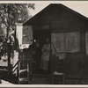 Migrant workers' shack. California. 1935