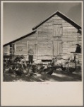 A successful rehabilitation client and some of the farm animals purchased with Resettlement Administration aid. Kinston, North Carolina
